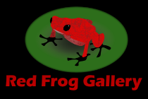 red frog gallery logo